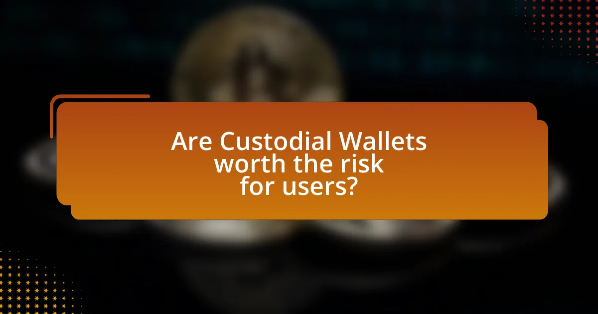 Are Custodial Wallets worth the risk for users?