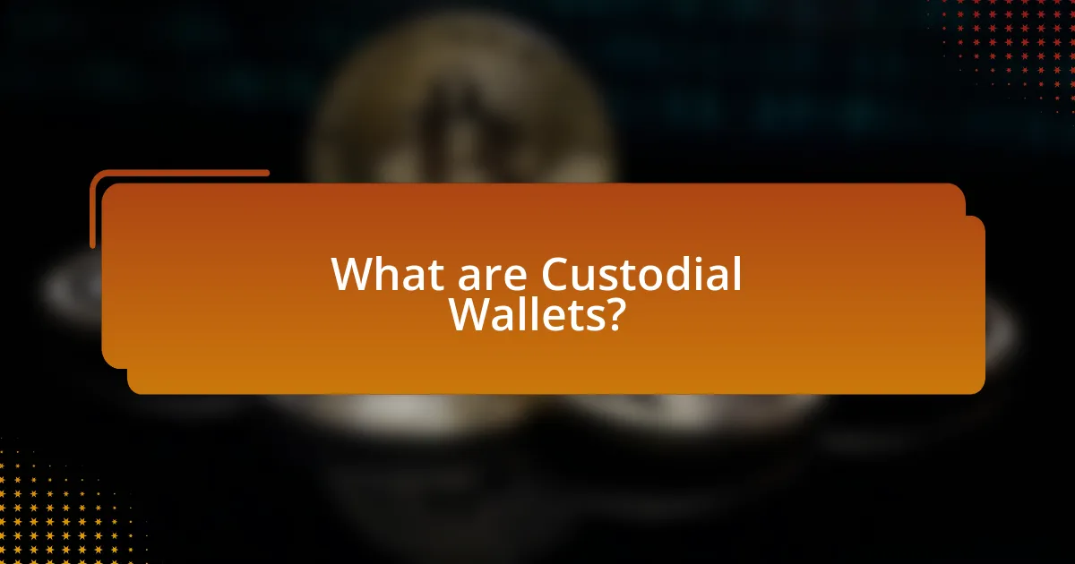 What are Custodial Wallets?