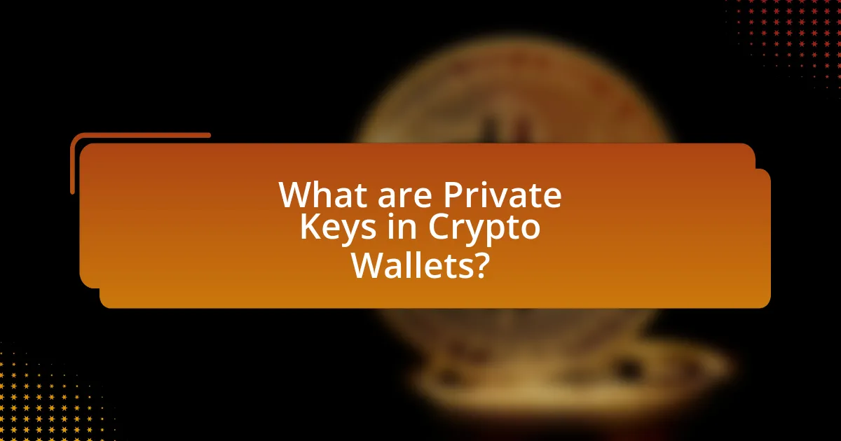 What are Private Keys in Crypto Wallets?