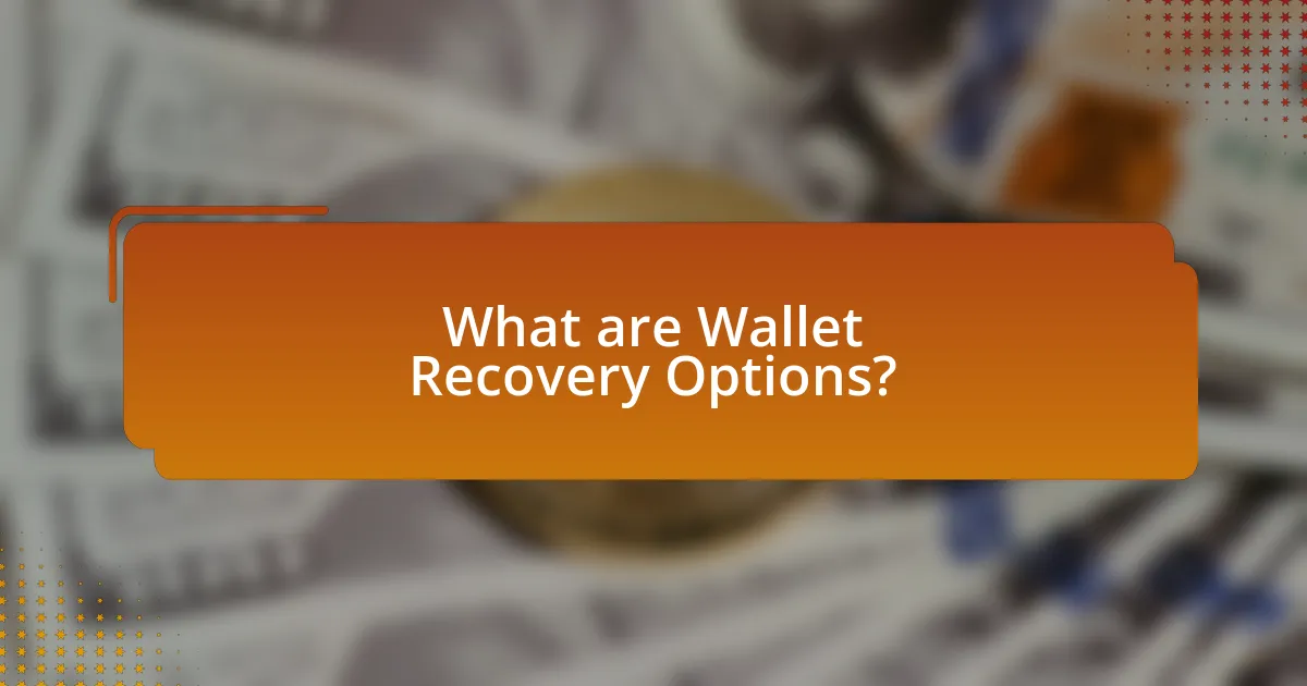What are Wallet Recovery Options?