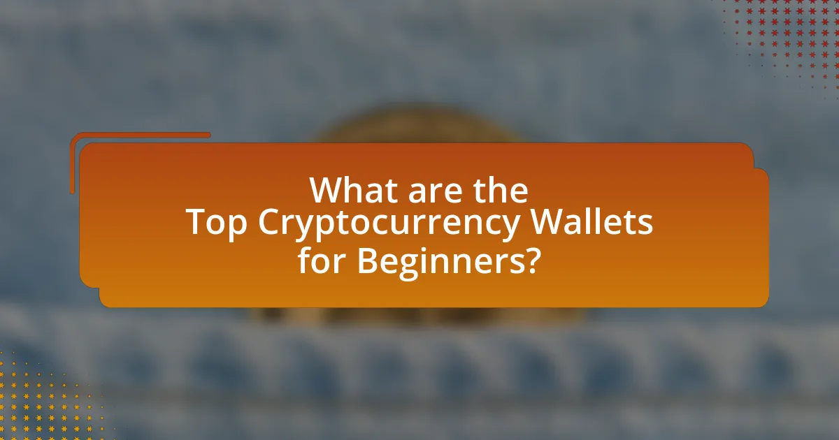 What are the Top Cryptocurrency Wallets for Beginners?