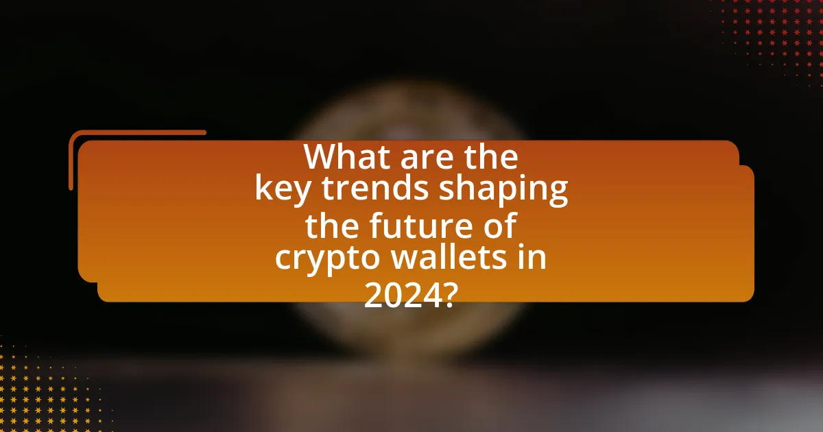 What are the key trends shaping the future of crypto wallets in 2024?