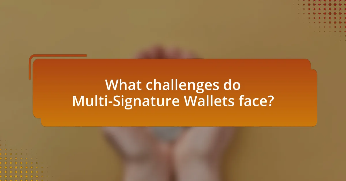 What challenges do Multi-Signature Wallets face?