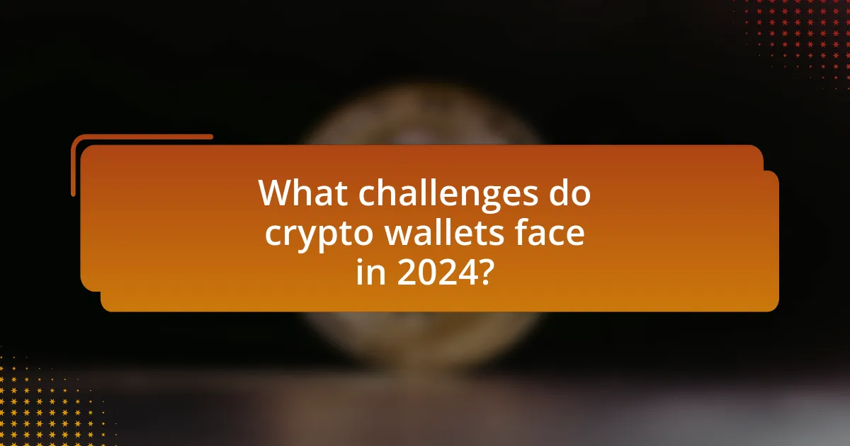What challenges do crypto wallets face in 2024?