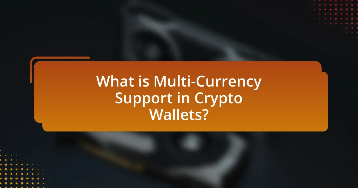 What is Multi-Currency Support in Crypto Wallets?