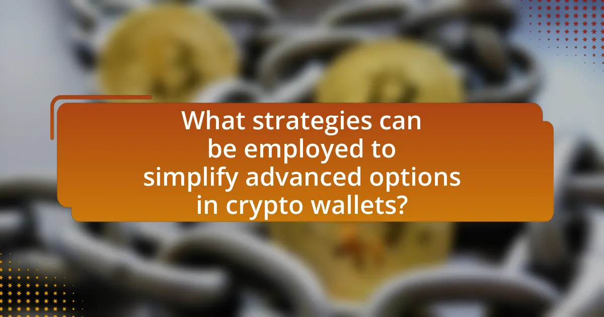 What strategies can be employed to simplify advanced options in crypto wallets?