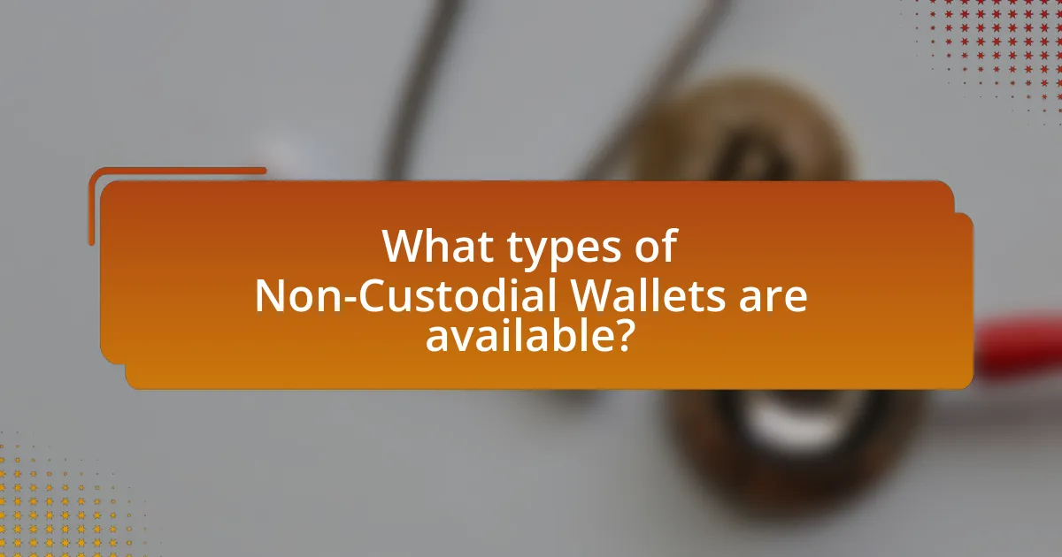 What types of Non-Custodial Wallets are available?